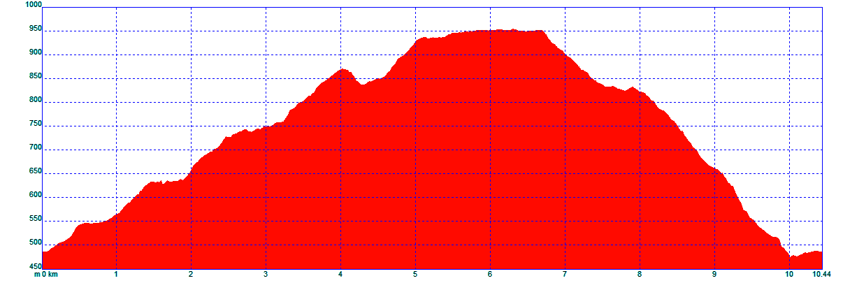 perfil de la carrera por montañas Casarabonela